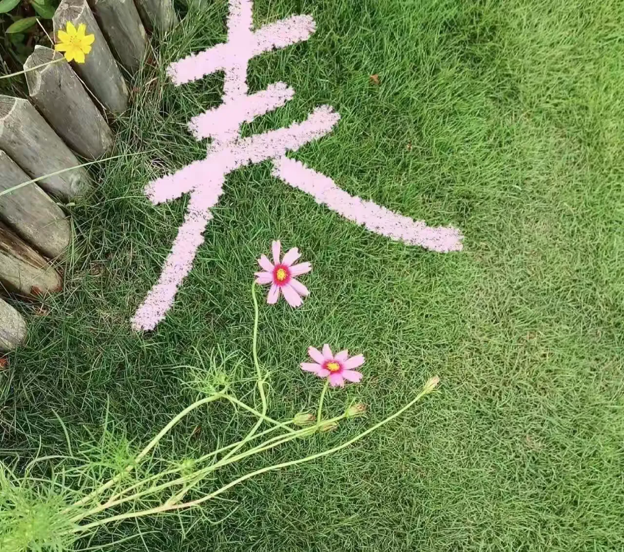 简篇-春日百花绽 童心把春寻——沛县汉城文昌学校小学部一二年级春天系列主题活动