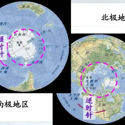 两极地区