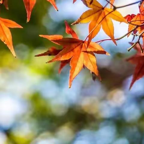 教学规范——从备、教、研、批、复、考谈起 容桂街道新教师培训第二期课程正式展开