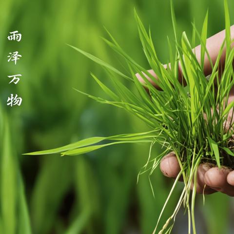 雨生百谷 万物可期