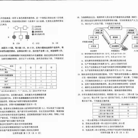 2024年普通高考适应性演练测试 黑龙江吉林生物学试卷