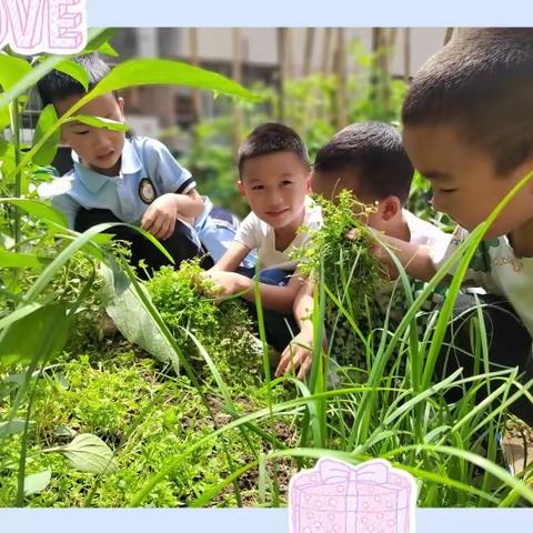 【高新教育】博雅幼儿园中一班——“一份默契💞  一份懂得💫”