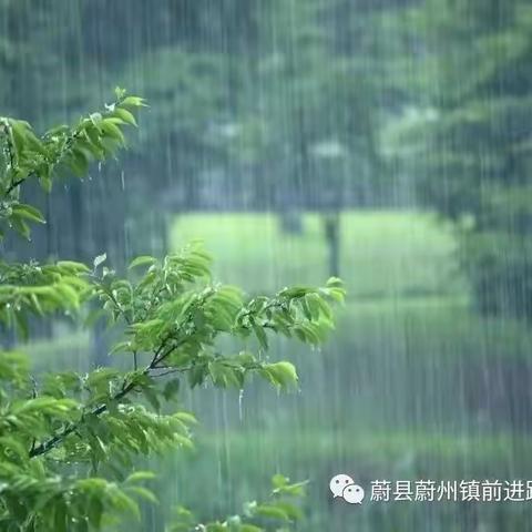 蔚县西合营镇东关完小做好强降雨天气应对工作致家长一封信