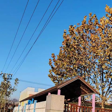 校园文化   山东省日照市莒县：龙山镇薄板台幼儿园秋景