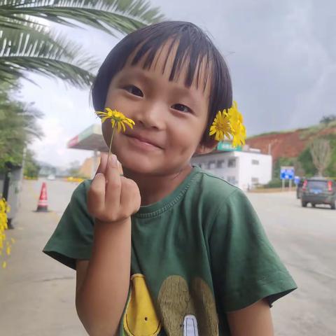 灿烂阳光的美篇