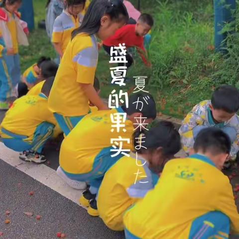 倾听儿童相伴成长（三）——宁乡市幼儿园三园“我向往的小学”倾听进行时