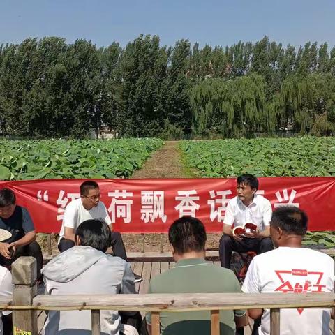 “红”荷飘香话振兴——杨家庄南党支部主题党日活动