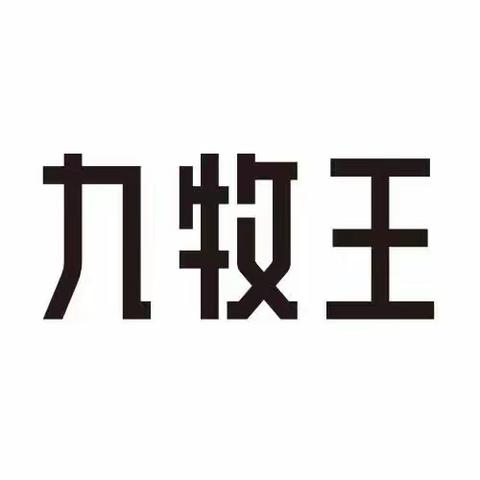 父亲节&端午节双节同庆，九牧王精彩不停！