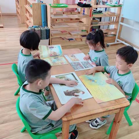 幼小衔接之学习篇