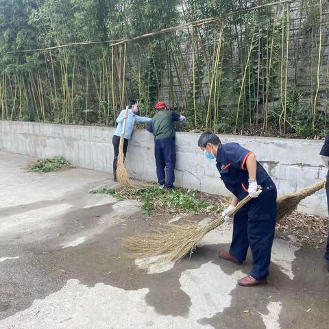 人大三宿舍外围、绿化开荒