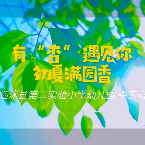 【临沭县第二实验小学幼儿园】有“杏”遇见你，初夏满园香