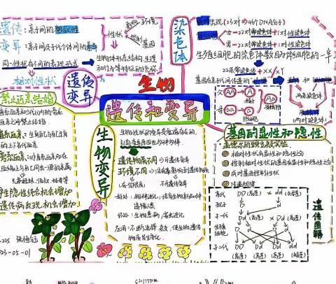 创新生物思维，点亮生命科学——思维导图绘制比赛