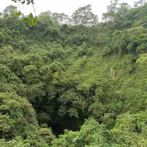 社会实践：研学旅行