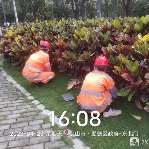 普邦生态佛山时花服务项目2023年6月10