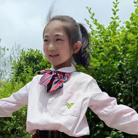 英雄小狐狸----南阳市油田第五小学203班2022-2023学年下学期第十五期