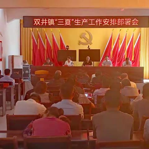 双井镇：多措并举，奋战三夏