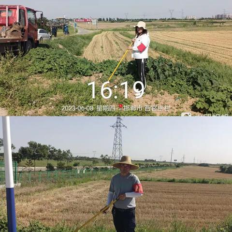 中三陵支村两委积极主动开展并完成上级领导交办的各项工作