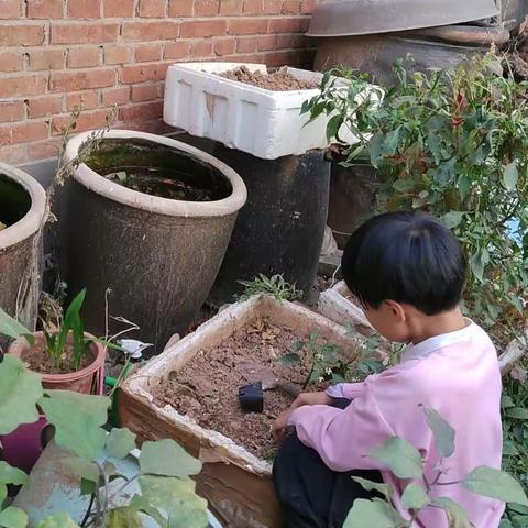 热爱劳动，从身边做起，从小事做起。