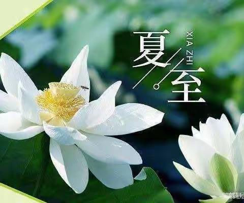 二十四节气——夏至