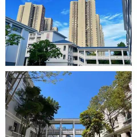 追光而遇，沐光而行——记遂溪县教师赴广州市黄埔区跟岗学习