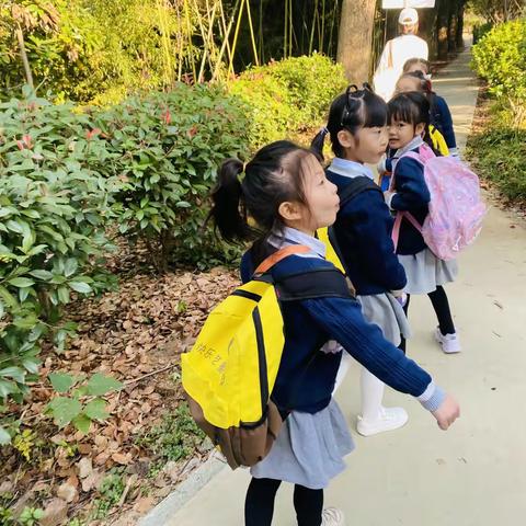 乐享自然·留住“秋”迹——快乐艺童幼儿园秋游之旅