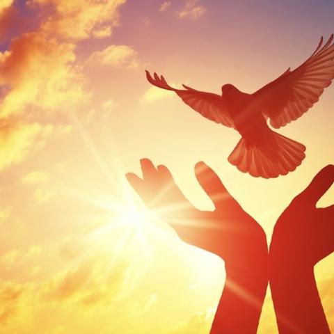 弘扬中华文明 担当文化使命——西位明德小学讲故事比赛