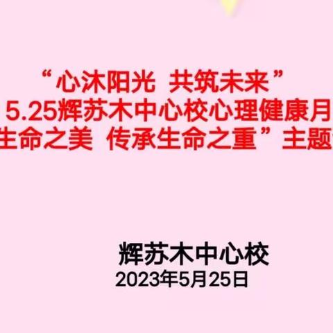 心沐阳光 共筑未来    辉苏木中心校“5.25心理健康月”活动