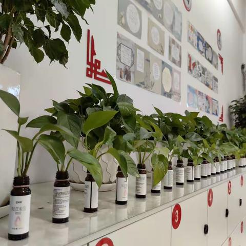 三一班叙事纪实——为每一颗种子插上翅膀