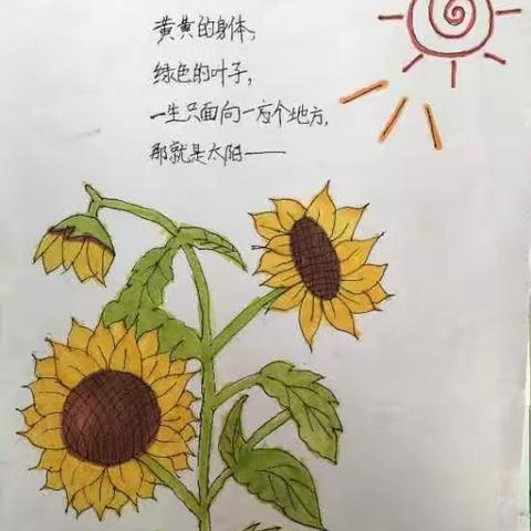 侯庙镇中心小学诗词创编活动