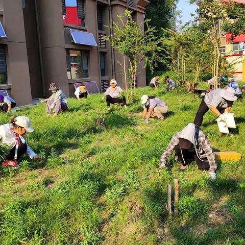 阳光下的花蕊的美篇