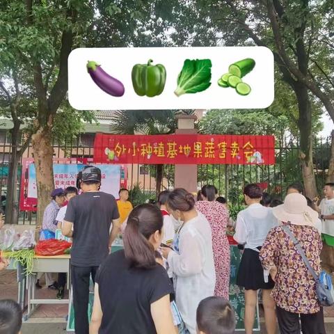 ☀️ 夏日校园，活力卖场，果蔬开卖啦！🥒🍅🍆🥬……