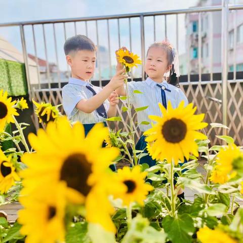 一草一木享自然   一枝一叶系童心——翠幼春学期自然角课程审议交流活动