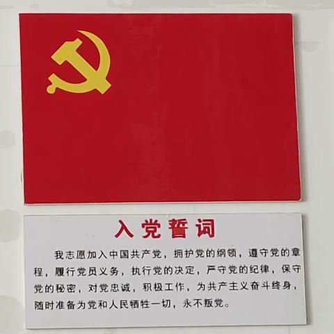 弘扬伟大建党精神 传承党的红色基因——中共新和友谊幼儿园六月主题党日活动