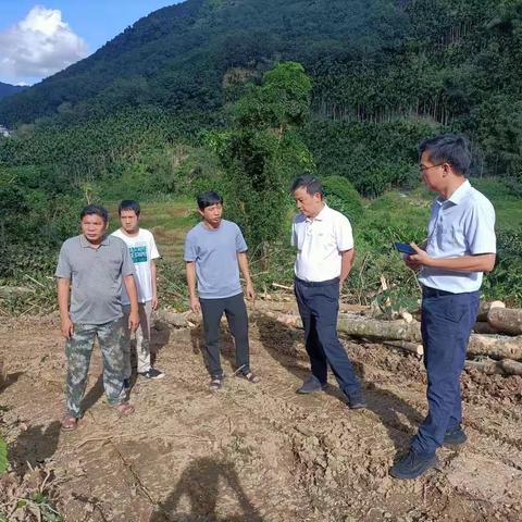 高亮副市长到毛阳镇督导油茶种植工作