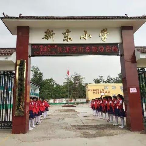 新东小学开始招生啦！