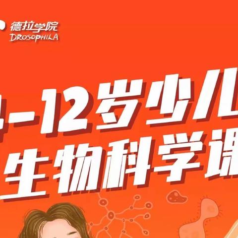 好消息！好消息！北京德拉少儿科学实验室课程成功入驻库尔勒市圣哲科技培训有限公司啦🎉🎉🎉