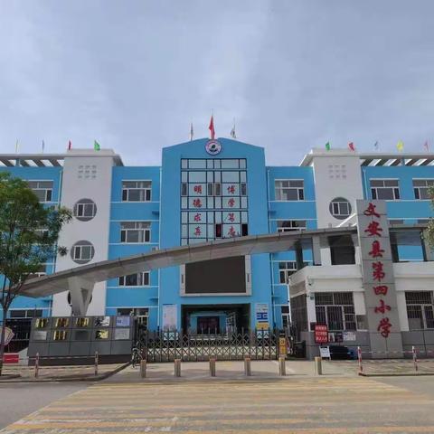 【劳动实践】话采摘的乐趣，品丰收的硕果——文安县第四小学校园采摘活动