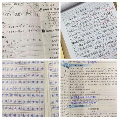 以检促优，以查促教。笃行致远，奋进当时。——南阳市第八完全学校小学部迎接白河中心校业务检查活动纪实