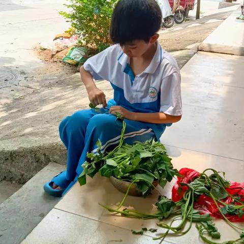 五一国际劳动节（那大第十小学三（4）班）