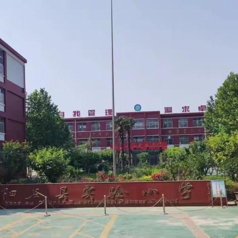 六月骄阳情胜火，管理评估促提升——阳谷县实验小学教育教学管理评估工作纪实