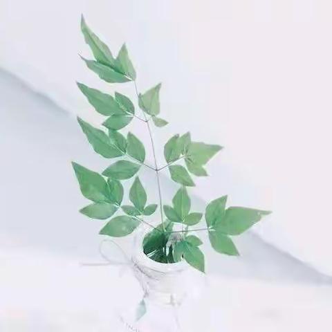 【家长助教】植物的小小奥秘