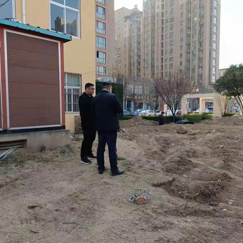 市政管理处工作日报