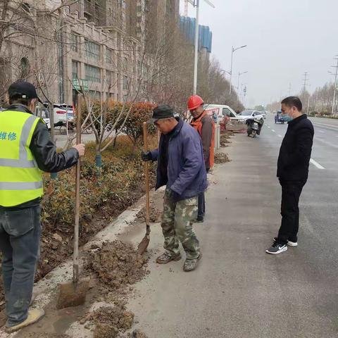 市政管理处工作日报