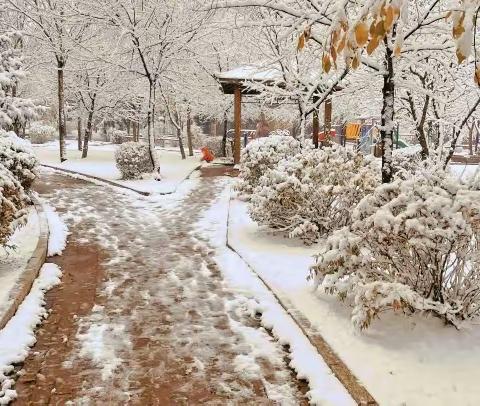 初冬迎瑞雪，同频提水平