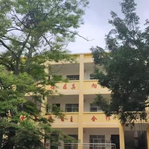 以仁治校，以爱执教，以诚待人---南乡小学2023年春学期期末总结