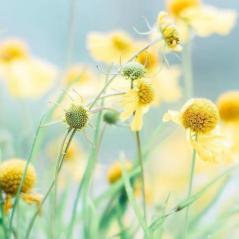 观摩中学习，交流中成长——吹麻滩学区赴城东小学观摩活动