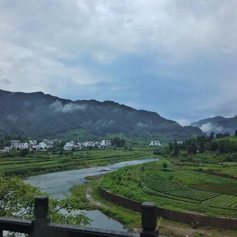 雨中游黄山