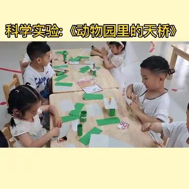 灵璧县幼儿园翰林苑分园——小二班科学实验延时班汇报