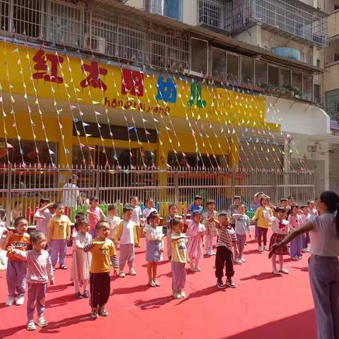 红太阳大班第16周精彩分享！