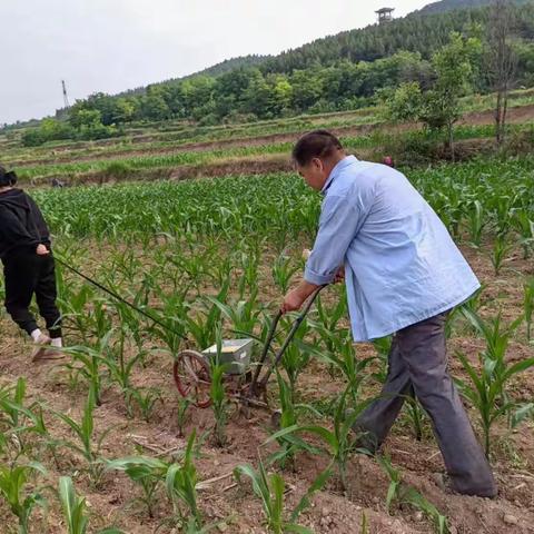 成家川街道李家村6月16日工作动态